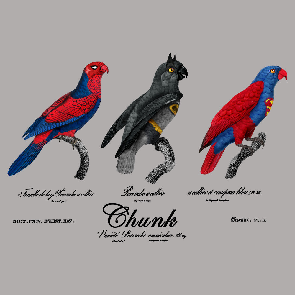 Hero Birds Light Grey T-Shirt